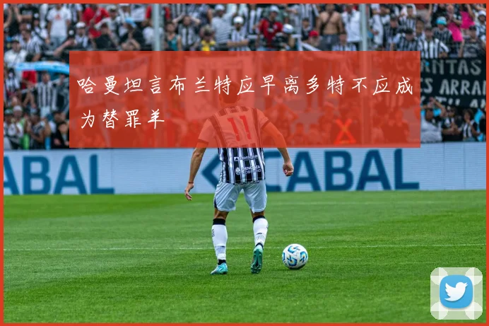 哈曼坦言布兰特应早离多特不应成为替罪羊