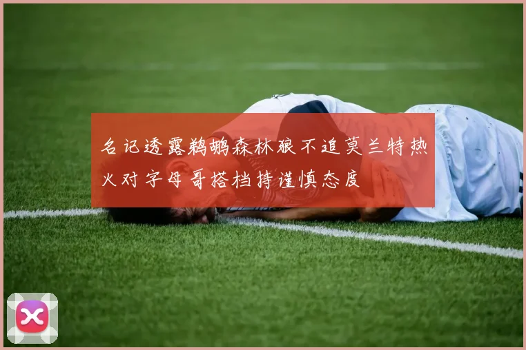 名记透露鹈鹕森林狼不追莫兰特热火对字母哥搭档持谨慎态度